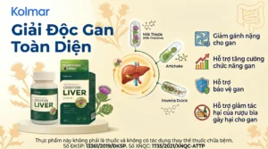Condition Liver: Giải Pháp Hỗ Trợ Giải Độc Và Bảo Vệ Gan Toàn Diện – Thực phẩm bảo vệ sức khỏe Từ Hàn Quốc