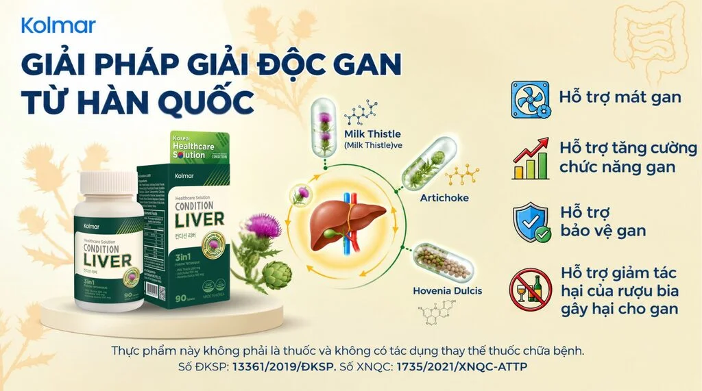 Thực Phẩm Bảo Vệ Sức Khỏe Condition Liver: Giải Pháp Hỗ Trợ Giải Độc Và Bảo Vệ Gan Từ Hàn Quốc
