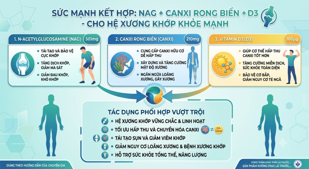 Thanh phan cong thuc cua Condition Joint